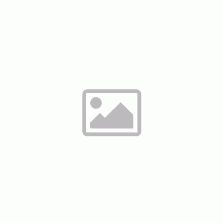 Acetyl-L-Carnitine 500 mg NOW