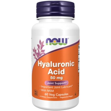 NOW Hyaluronic Acid + MSM (60)