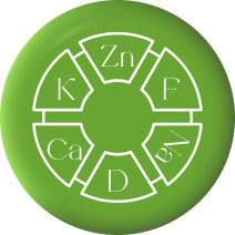 Egyéb vitaminok